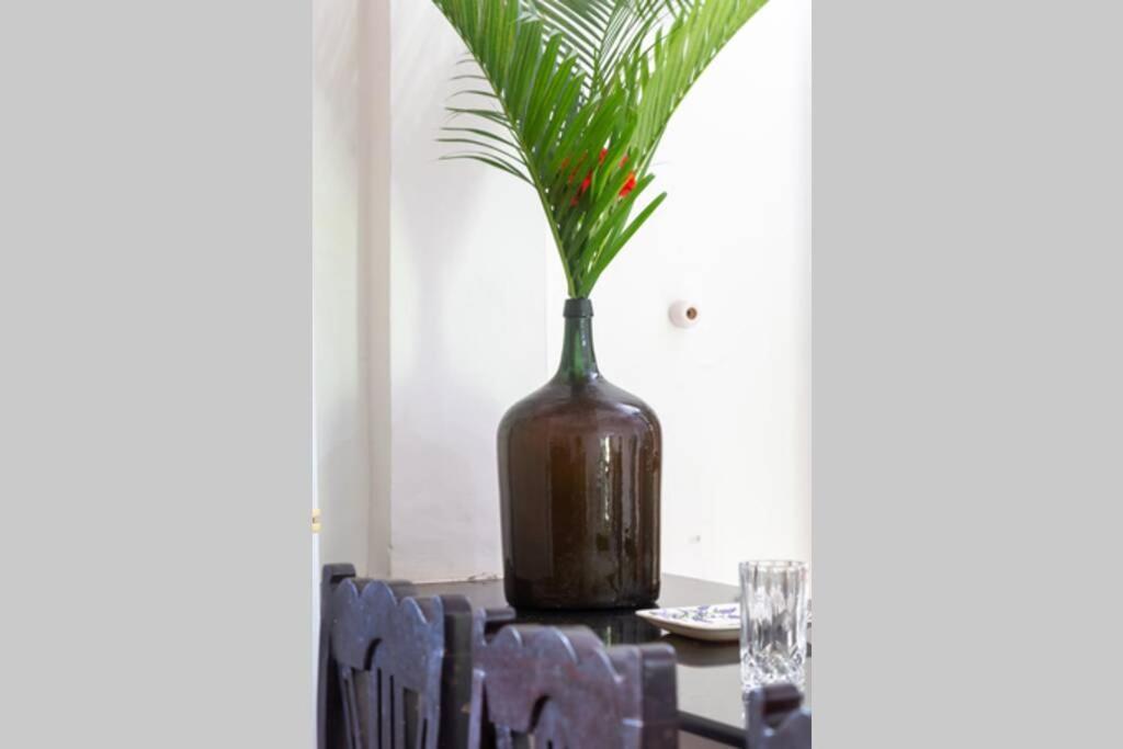 Villa Barbosa, 2 Bhk Villa & Luxury Rooms Near Colva, Sernabatim, Benaulim Beach 외부 사진